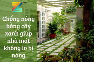 Chống nóng bằng cây xanh giúp nhà mát không lo bị nóng