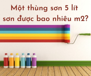 1 Thùng Sơn 5 Lít Sơn Được Bao Nhiêu M2