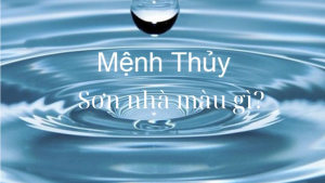 Người mệnh Thủy sơn nhà màu gì