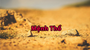  Người mệnh Thổ sơn nhà màu gì