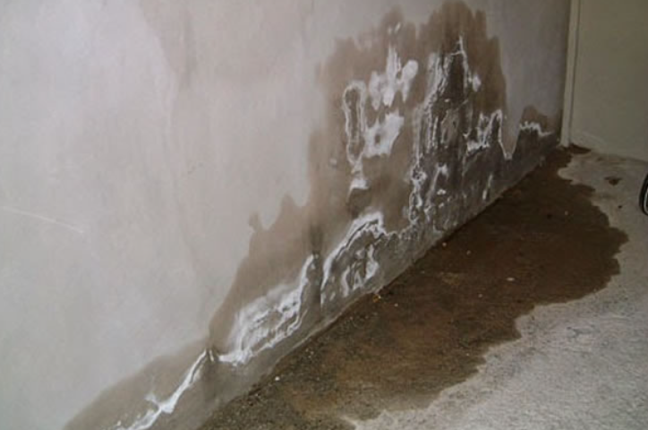 Sơn nhà chống ẩm